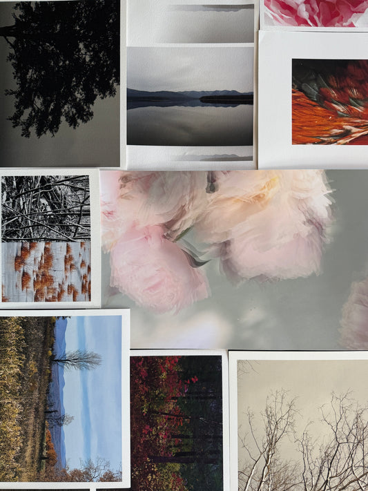 Landscape and Nature Prints | Amanda Russo Rubman