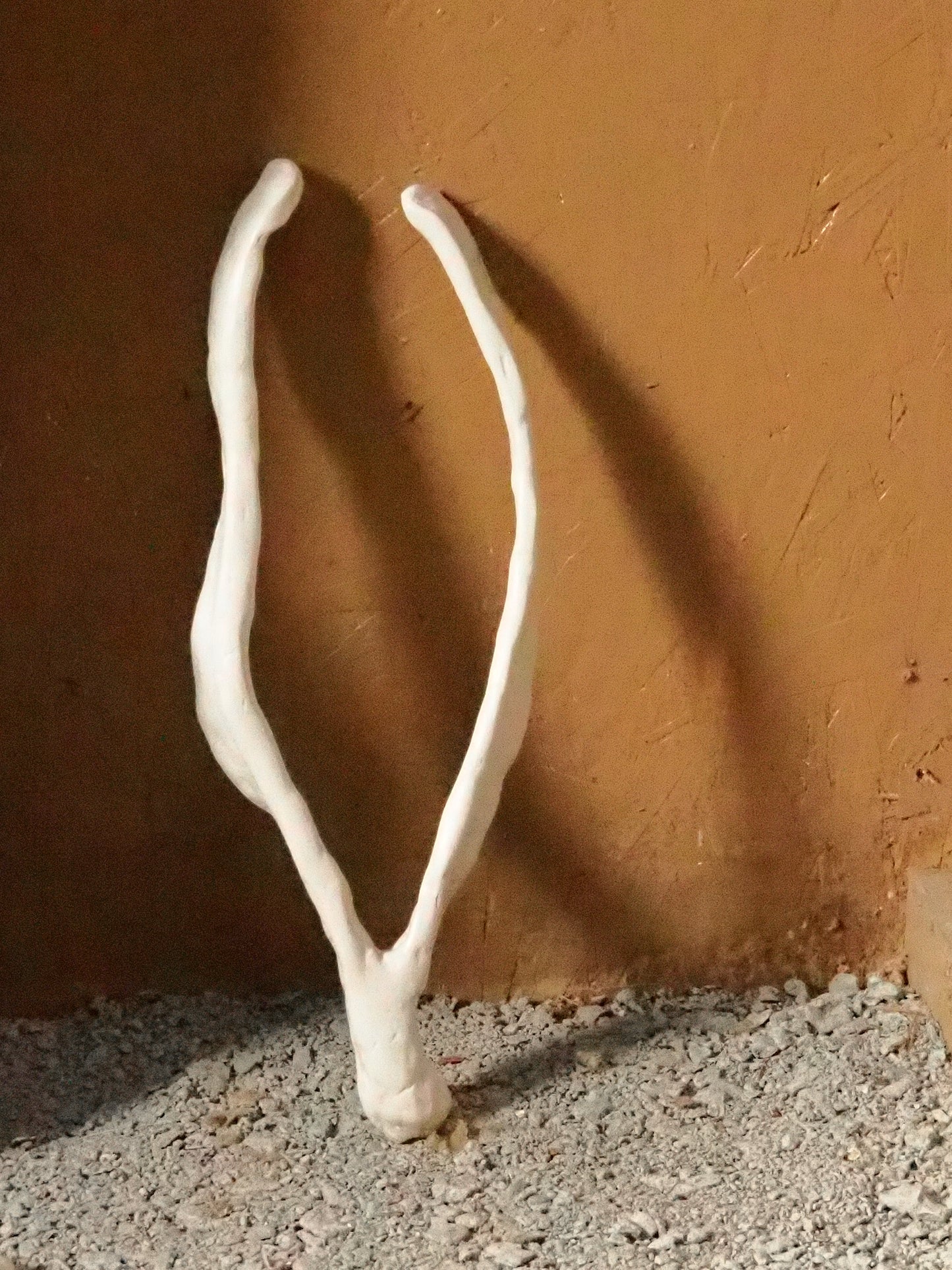 AR Handmade Wishbone | Large
